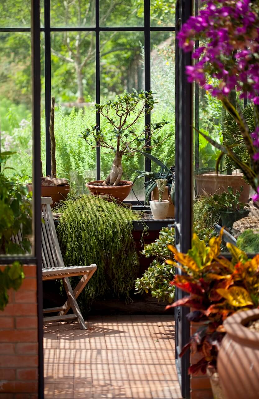 Wintergarten bepflanzen mit vielfältigen Zier- und Nutzpflanzen